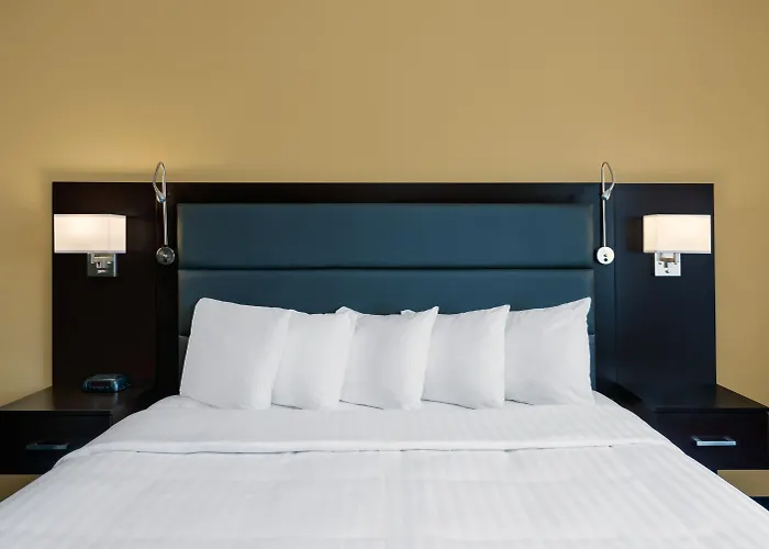 Hotel 1550