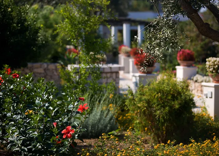 Hotel Al Mulino - Mediterranean Garden Retreat in AnaCapri