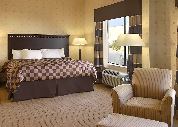 Wingate By Wyndham - Warner Robins