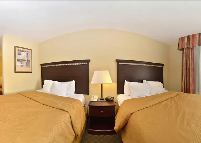 Comfort Suites Tuscaloosa Near University
