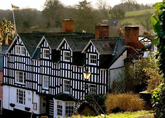 The Dragon Hotel