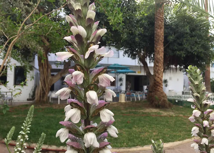 Hotel La Residence Hammamet