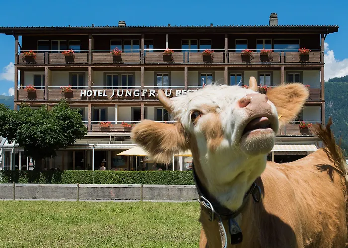 Jungfrau Hotel