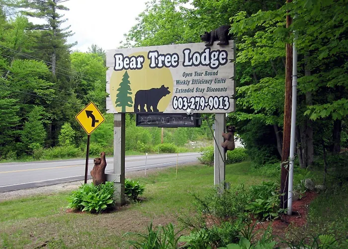 Bear Tree Lodge Weirs Beach
