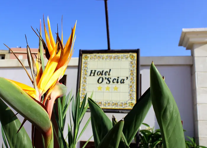 Hotel O'Scia
