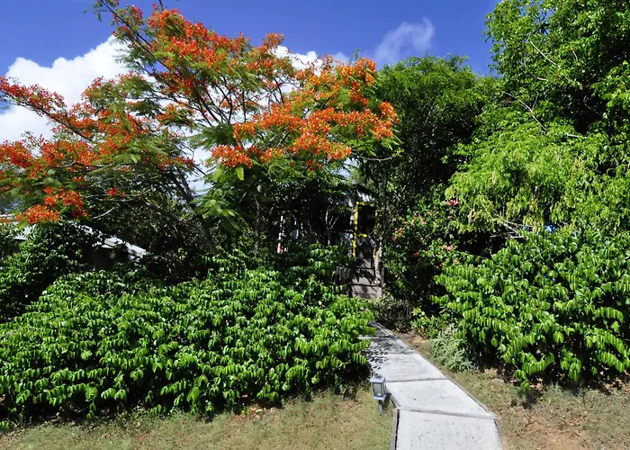 Virgin Islands Campground