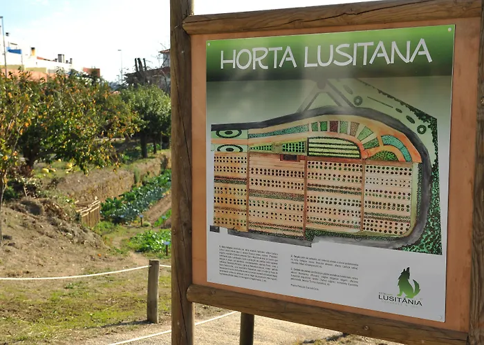 Hotel Lusitania Congress & Spa