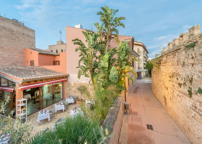 Alcudia Petit - Turismo De Interior