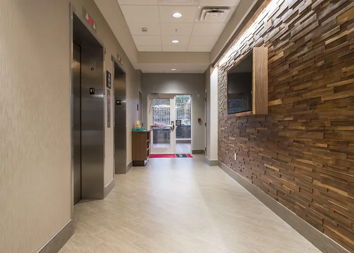 Hampton Inn Greenville/I-385 Haywood Mall, Sc