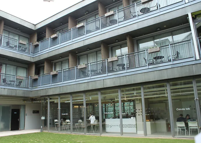 Y Loft
