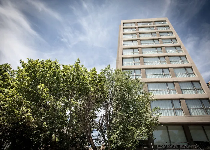 Brizo Neuquen