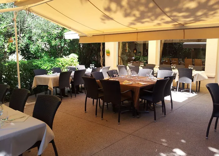 Logis Le Printemps Hotel Restaurant - Montelimar