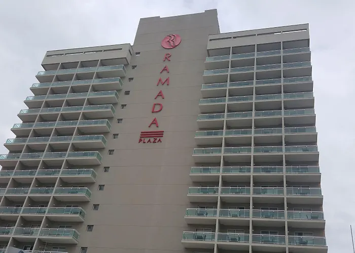 Transamerica Executive Macae