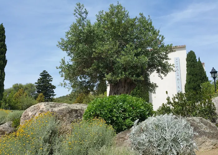 Hotel Cala Di L'Oru
