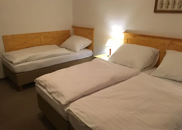 Hotel Tri Ruze