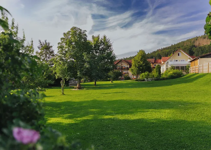 Hollerhöfe - Zu Gast im Dorf