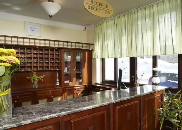 Spa Hotel Bily Horec