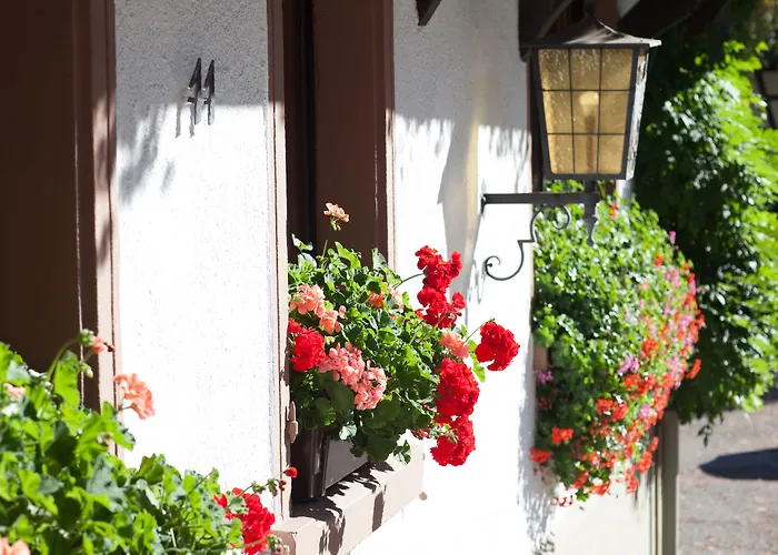Hotel Gasthaus Adler