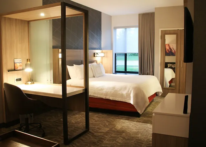 Springhill Suites Baltimore White Marsh/Middle River