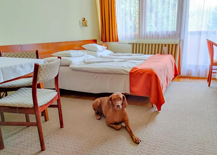 Apartman Hotel