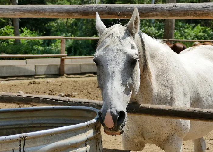 Bill Cody Ranch