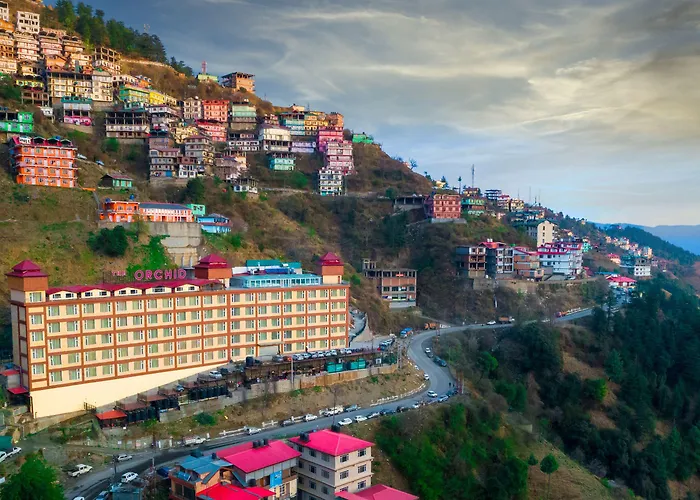 The Orchid Shimla