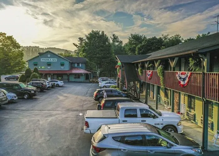 The Pineola