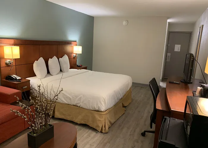 The Hotel Orange