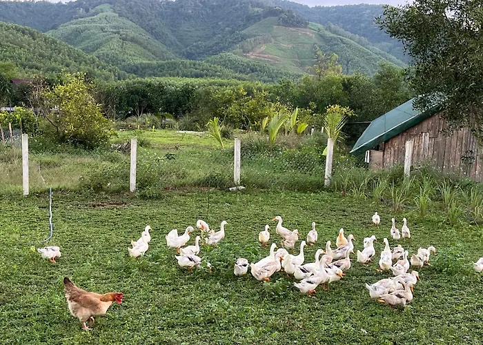 Phong Nha Mini Farm - Nguyen Shack