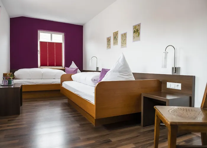 Hotel Baeren