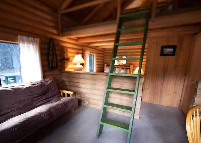 Experience Montana Cabins - Wildflower #3