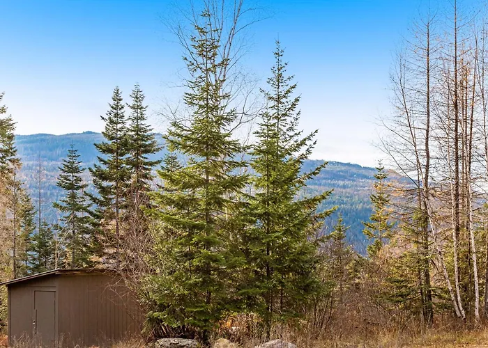 Experience Montana Cabins - Wildflower #3