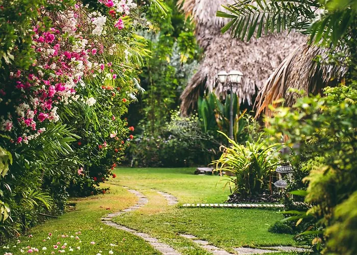 Kariwak Wellness Village, Hotel&Holistic Haven