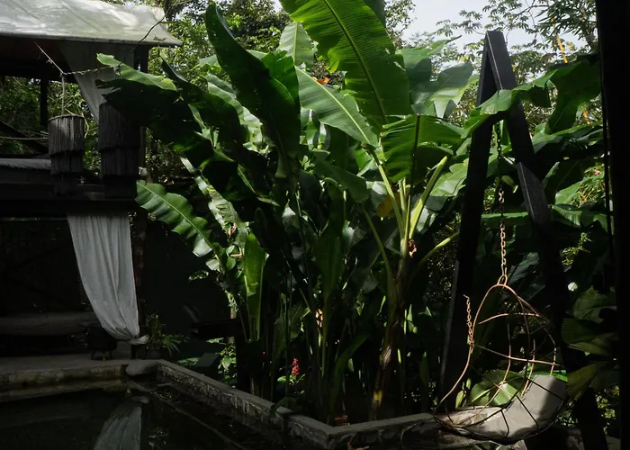 Canaima Chill House