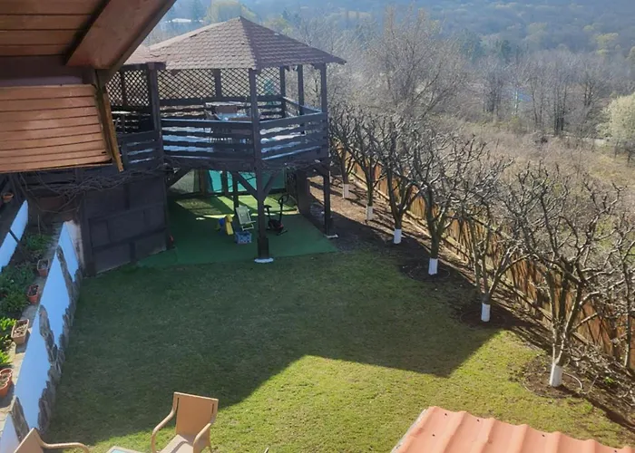 Pensiunea Taverna Bucium