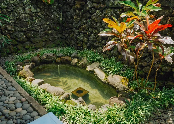 Lihat Sawah Cottage