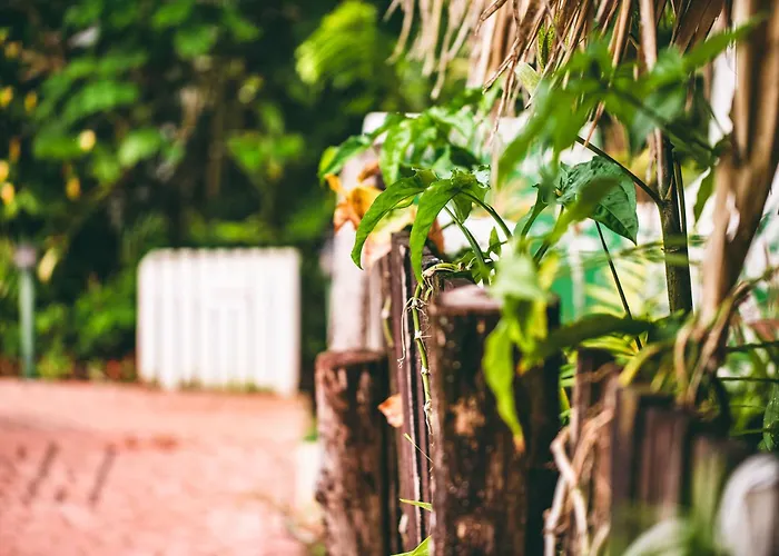 Kariwak Wellness Village, Hotel&Holistic Haven