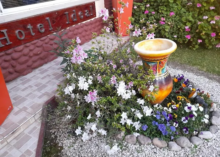 Hotel Ideal Vcp