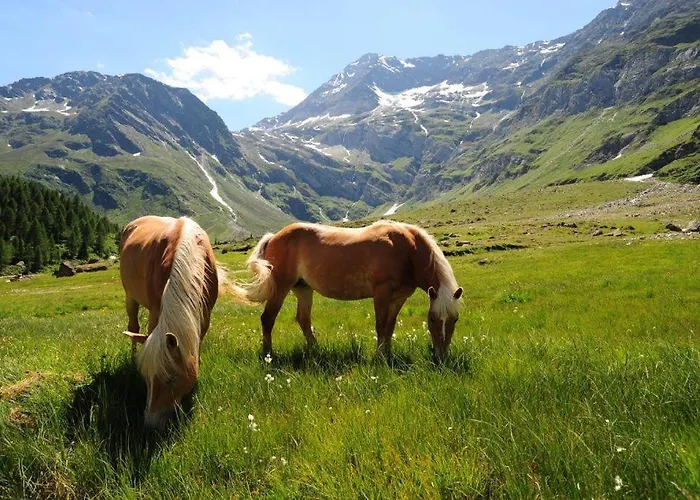 Alpshotel Bergland