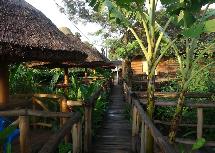 Sunscape Lodge