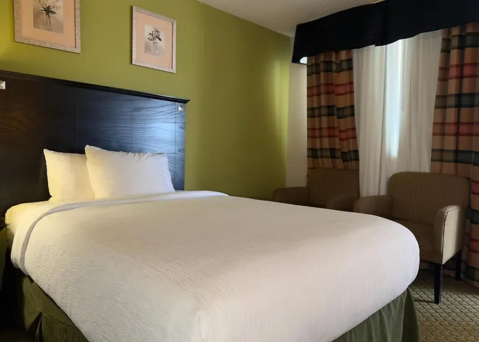 Quality Inn & Suites Moline Airport