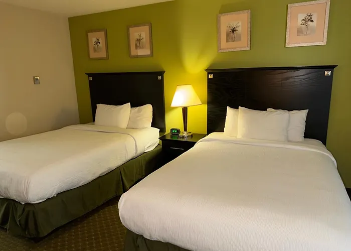 Quality Inn & Suites Moline Airport