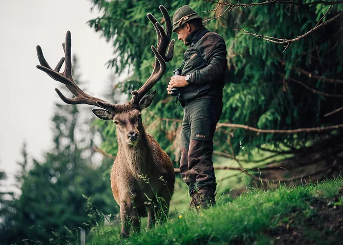 Torghele'S Wald & Fluh