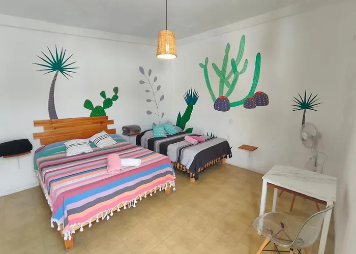 Hostel Casa Maguey