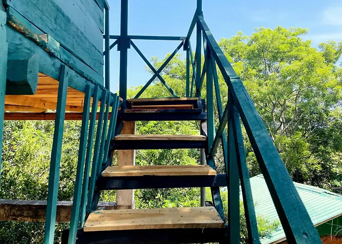 Green Tree House Yala