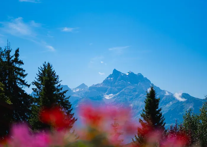 Chalet Royalp Hotel & Spa