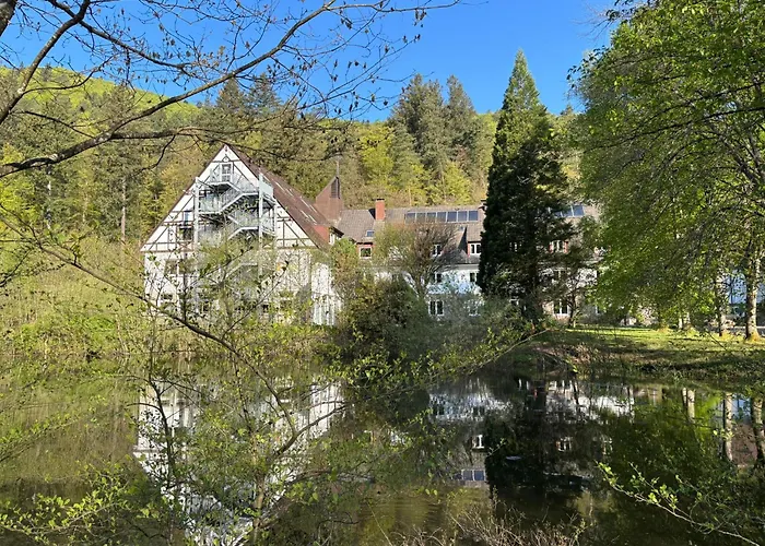 Die Heilsbach gGmbH