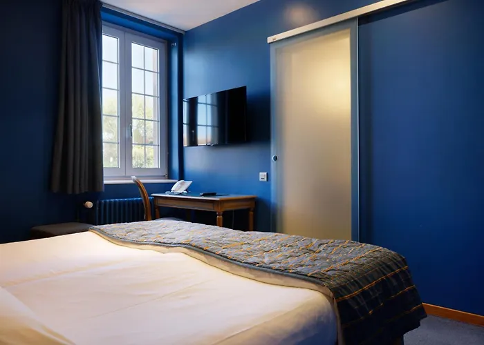 Logis Hotel Beausejour Colmar