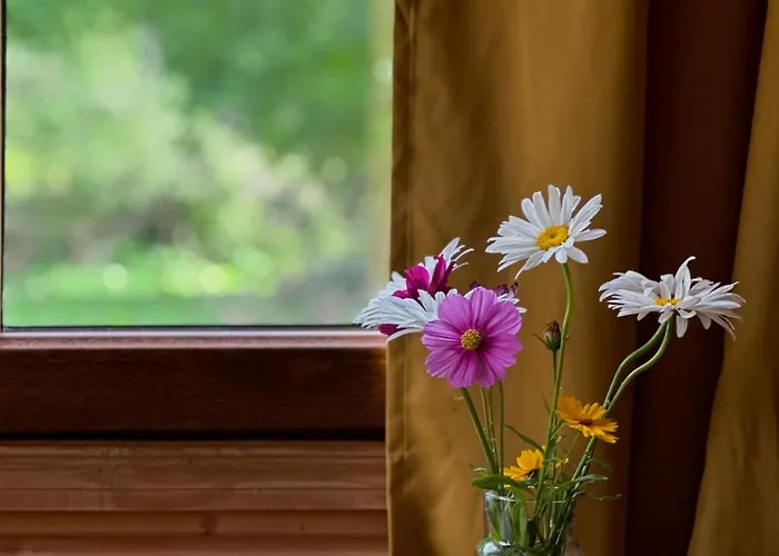 Kvela Cottage - Ყველა Კოტეჯი