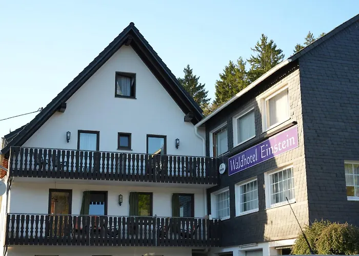 Waldhotel Einstein